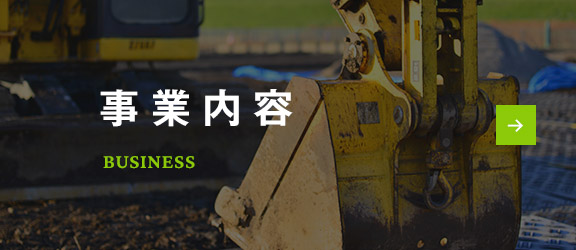bnrhalf_business_off
